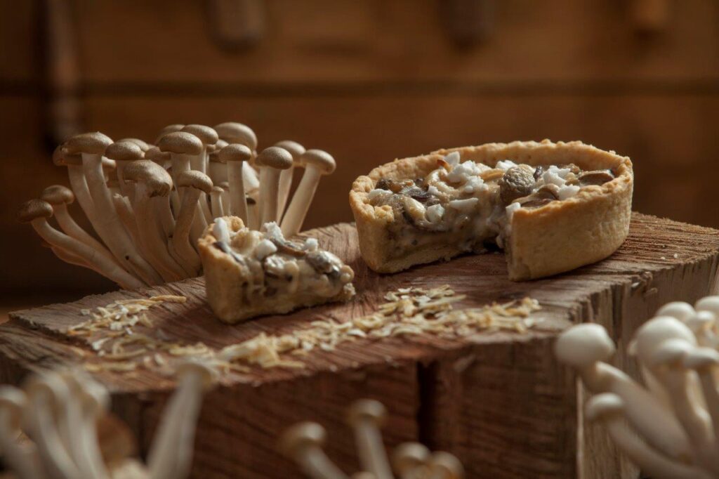 יום הטבעונות העולמי עם "משומשו" – מגישה מתכון חגיגי עם גבינות טבעוניות: קיש פטריות טבעוני. סקירה דוסיז צרכנות